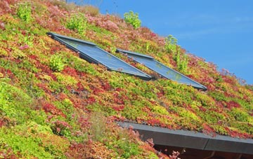 Bilsthorpe Moor living roof systems